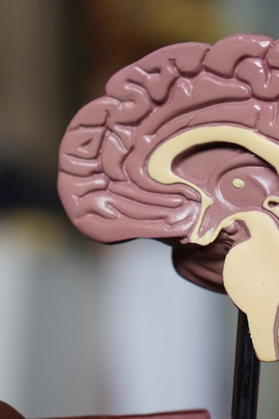 HealthConnect Telemedicine App Screenshot